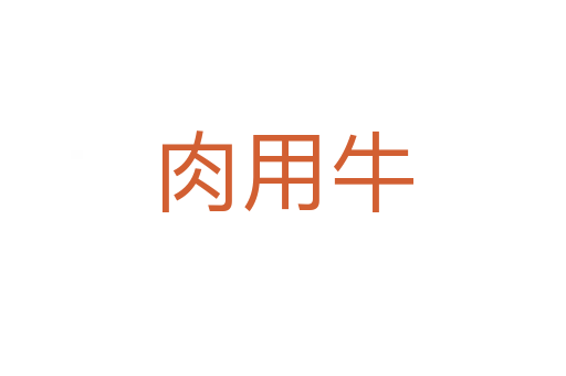 肉用牛