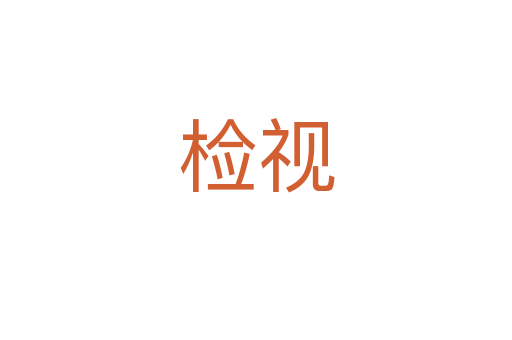 检视