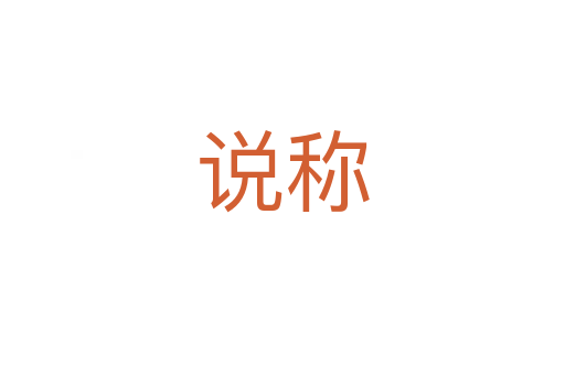 说称