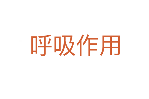 呼吸作用