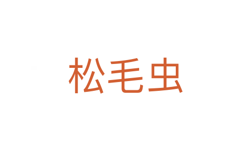 松毛虫