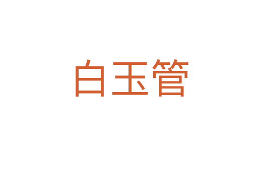 白玉管