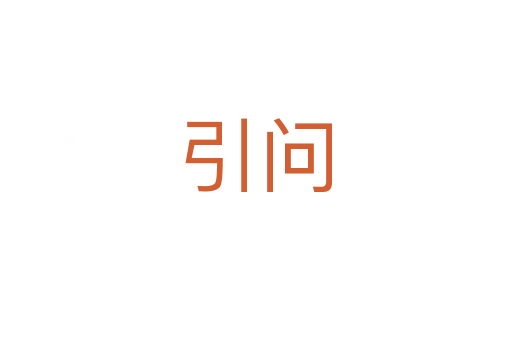 引问