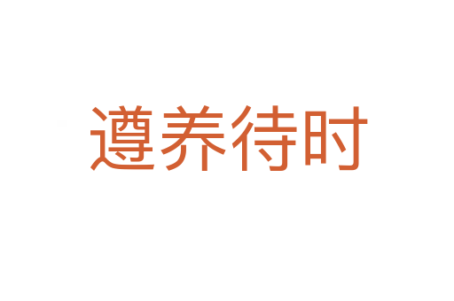 遵养待时