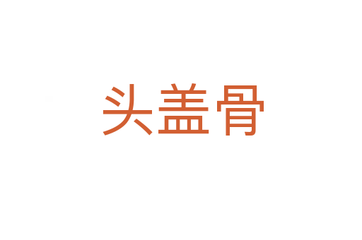 头盖骨
