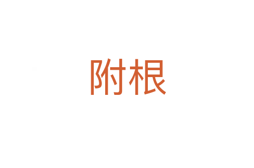 附根