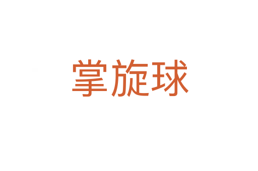掌旋球