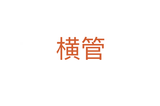横管