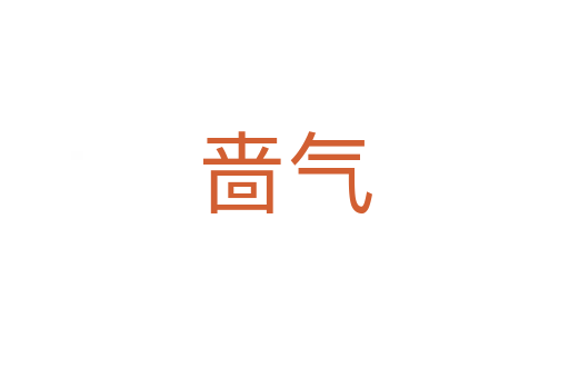 啬气