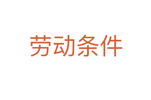 劳动条件