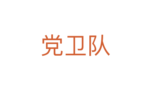 党卫队