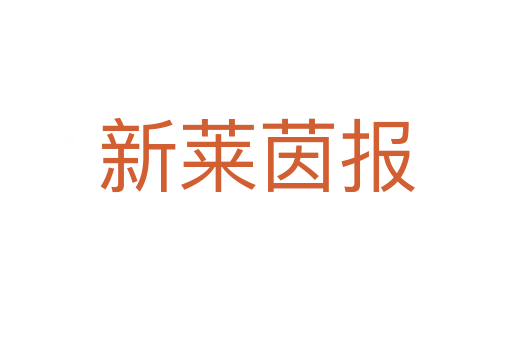 新莱茵报