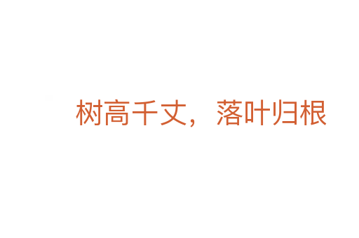 树高千丈，落叶归根