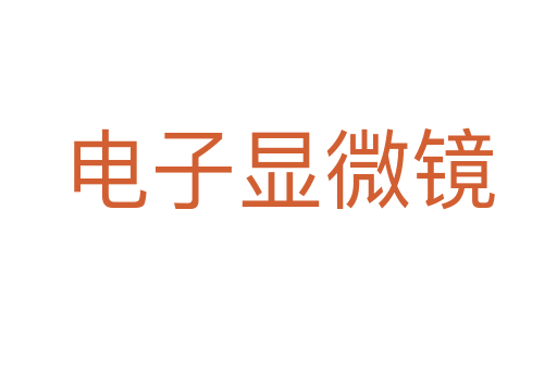 电子显微镜