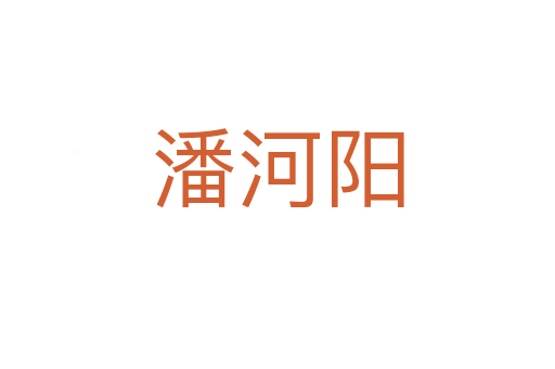 潘河阳