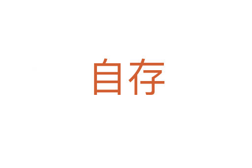 自存