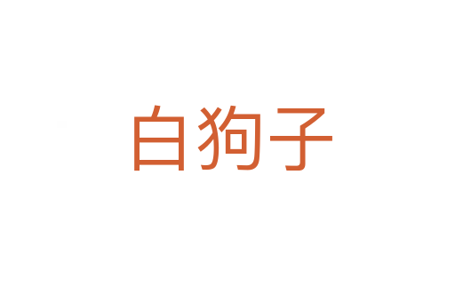 白狗子