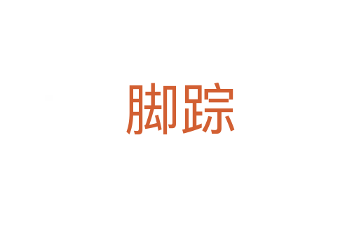 脚踪