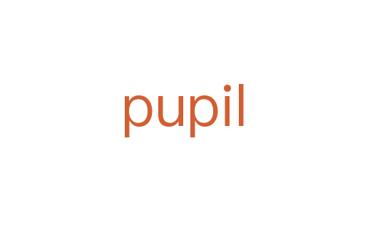 pupil