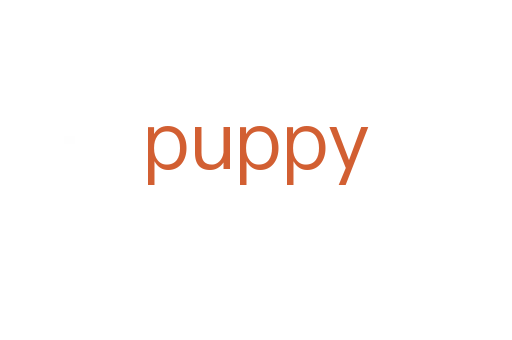 puppy