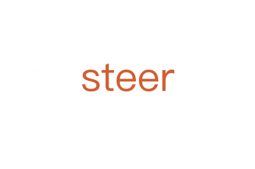 steer