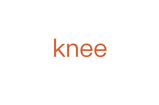 knee