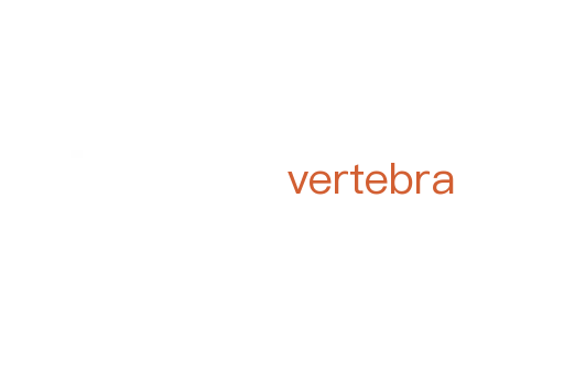 vertebra