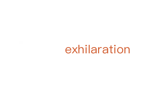 exhilaration