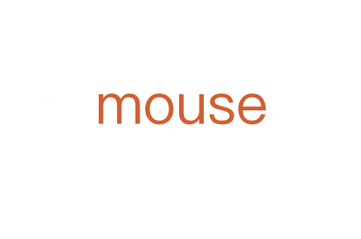 mouse