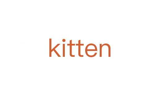 kitten