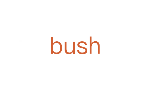 bush